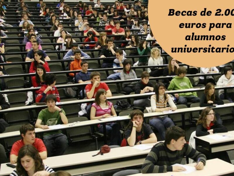 Campana Becas de 2.000 euros para alumnos universitarios