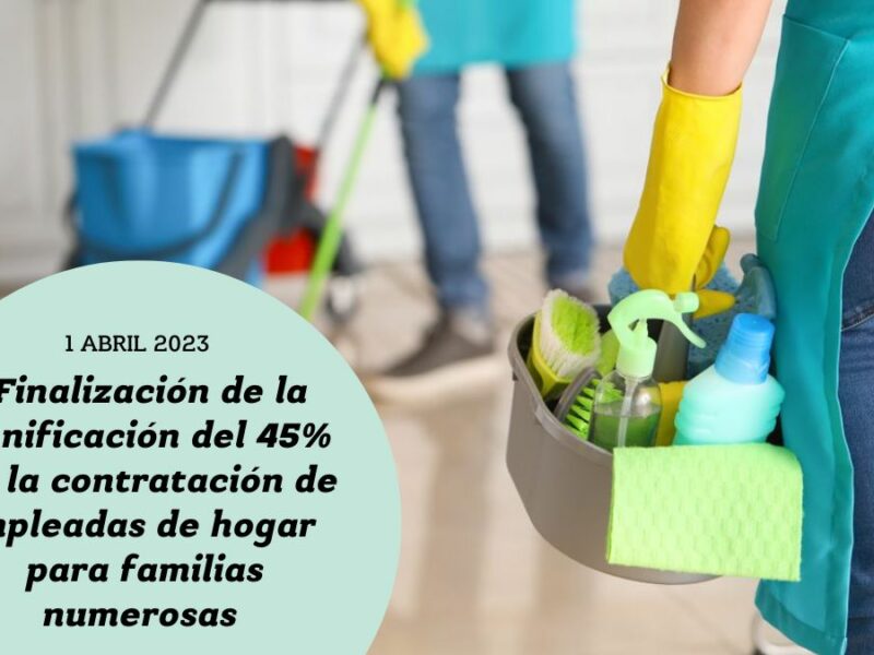 REIVINDICACION EMPLEADAS HOGAR