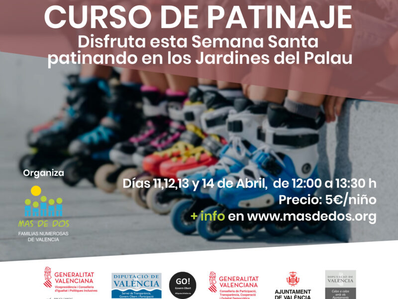 curso patinaje23